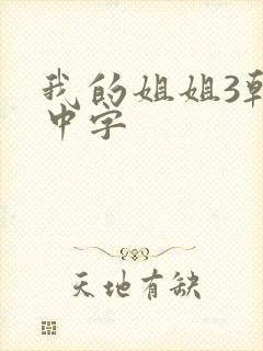 我的姐姐3韩剧中字