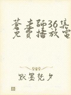 苍老师36集全免费播放电视剧