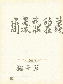 你是我的荣耀未删减版在线播放封面