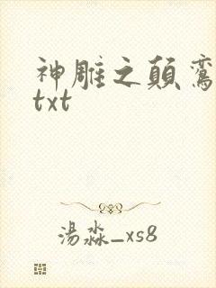 神雕之颠鸾倒凤txt封面