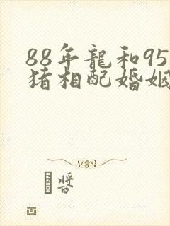 88年龙和95猪相配婚姻如何