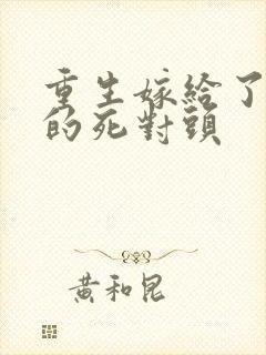 重生嫁给了渣男的死对头