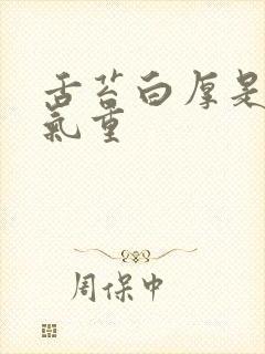 舌苔白厚是有湿气重