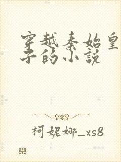 穿越秦始皇第九子的小说