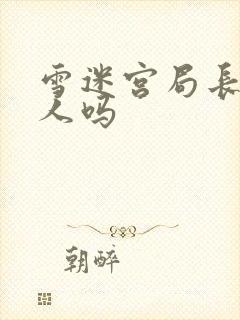 雪迷宫局长是好人吗