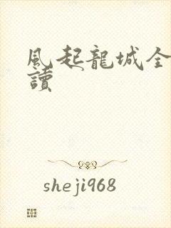 风起龙城全文阅读封面