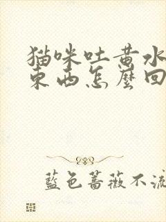 猫咪吐黄水不吃东西怎么回事封面