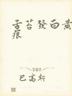 舌苔发白黄有齿痕