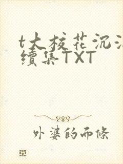 t大校花沉浮录续集TXT封面