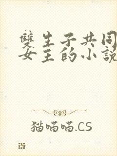 双生子共同拥有女主的小说