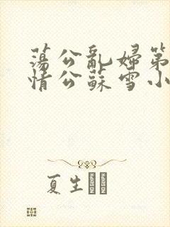 荡公乱妇第1章情公苏雪小说