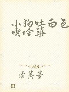 小狗吐白色粘液吃啥药封面