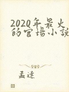 2020年最火的官场小说