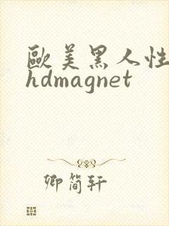 欧美黑人性极品hdmagnet封面