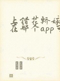 上错花轿嫁对郎在哪个app可以看