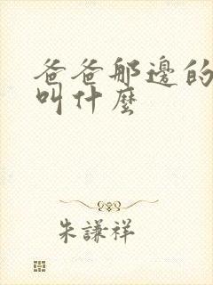 爸爸那边的姐姐叫什么