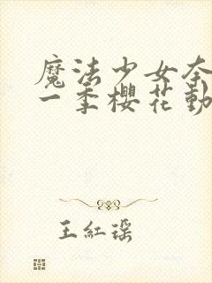 魔法少女奈叶第一季樱花动漫封面