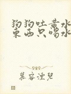 狗狗吐黄水不吃东西只喝水