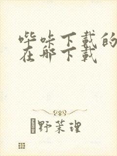 哔咔下载的漫画在哪下载