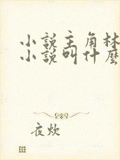 小说主角林辰的小说叫什么