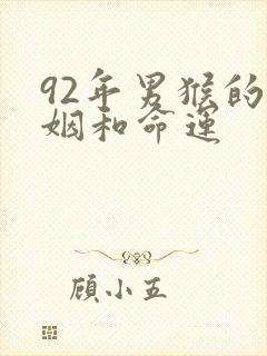 92年男猴的婚姻和命运封面