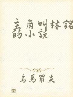 主角叫林铭陈佳的小说