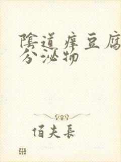 阴道痒豆腐渣样分泌物