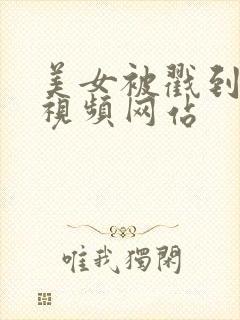 美女被戳到爽的视频网站