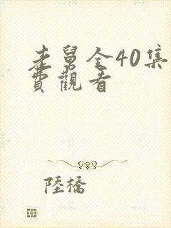 老舅全40集免费观看