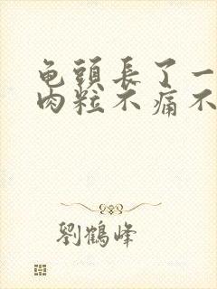 龟头长了一个小肉粒不痛不痒封面