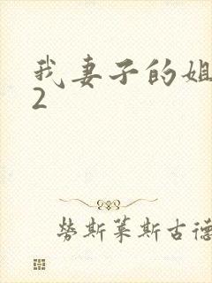 我妻子的姐姐 2