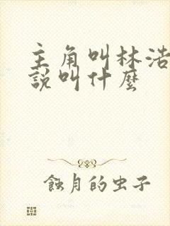 主角叫林浩的小说叫什么