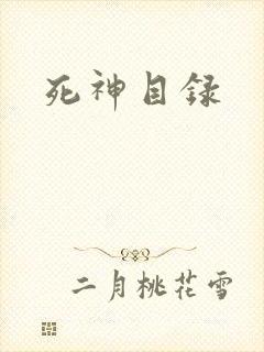 死神目录封面