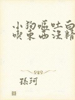 小狗呕吐白沫不吃东西没精神怎么办