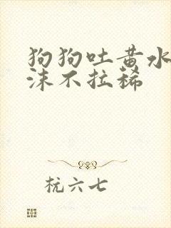 狗狗吐黄水带泡沫不拉稀