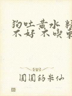 狗吐黄水 精神不好 不吃东西