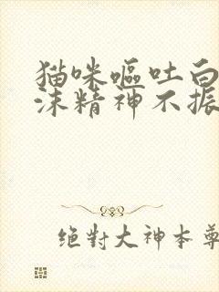 猫咪呕吐白色泡沫精神不振