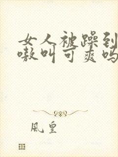 女人被躁到高潮嗷叫可爽吗