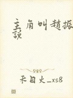 主角叫赵振的小说