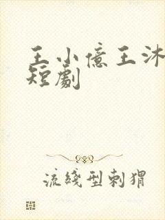王小亿王沐凯的短剧