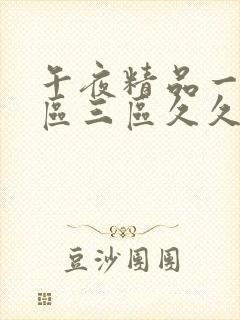 午夜精品一区二区三区久久