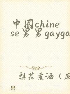 中国chinese男男gaygay网站中国帅哥封面