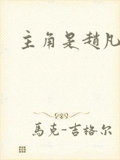 主角是赵凡小说封面