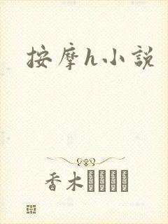 按摩h小说