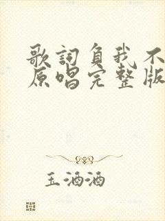 歌词负我不负他原唱完整版