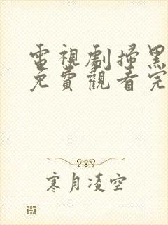 电视剧扫黑风暴免费观看完整版