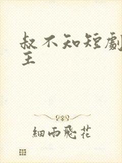 叔不知短剧双男主