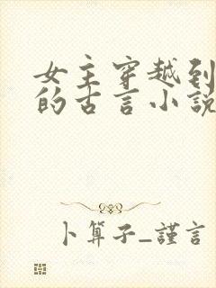 女主穿越到宋朝的古言小说封面