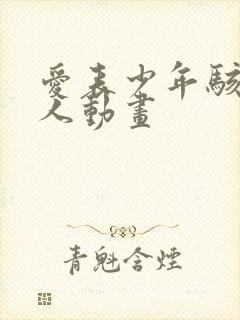 爱表少年骇客同人动画