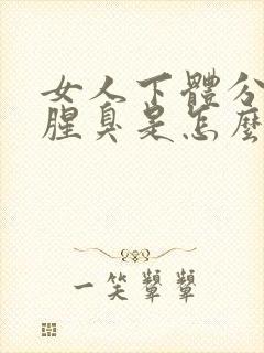 女人下体分泌物腥臭是怎么回事封面